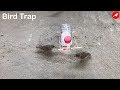 Sparrow Trap/Bird Trap Homemade/How to make a Bird Trap Easy Automatic saving a Sparrow