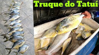 PESCARIA DE PAMPO ASSIM é o SONHO de TODO PESCADOR! Pesca de praia 2023