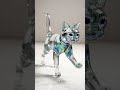 Cat of glass #relaxing #water #water #walking #cat