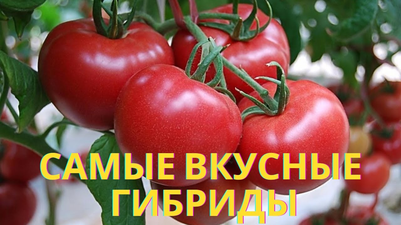 Вкусные гибриды