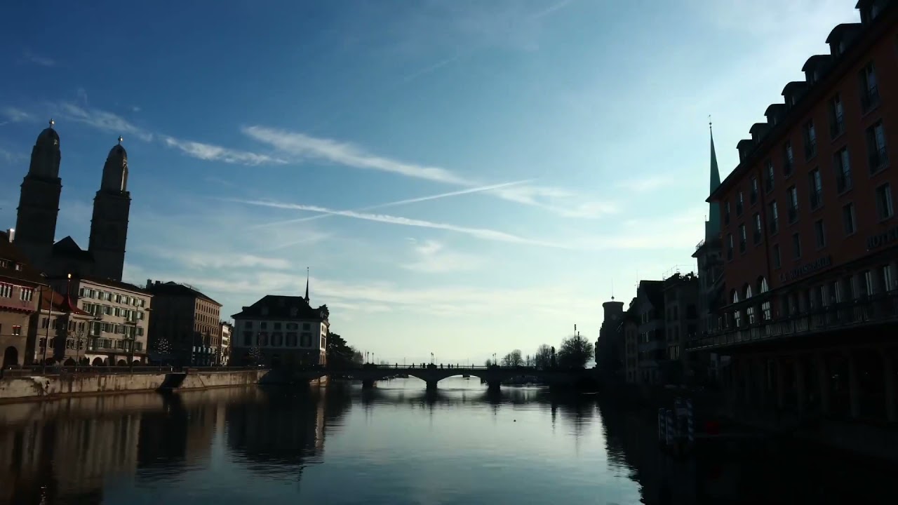 ⁣Toss -T - Hummingbird (Ft: MrBurntYoghurt)