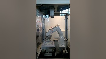 3D Bin Picking with a DENSO Robot & Cognex Vision System