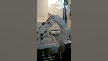 3D Bin Picking with a DENSO Robot & Cognex Vision System