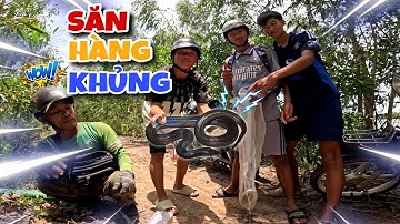 Tam Tai | Bất Ngờ Phát Hiện Một Nơi Toàn Là Rắn🐍