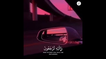القارئ ماهر المعيقلي إنما أمره إذا أراد شيئا حالات واتس اب قران قصيرة رآحة للقلب
