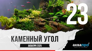 картинка: 23. Каменный угол. #АкваПро