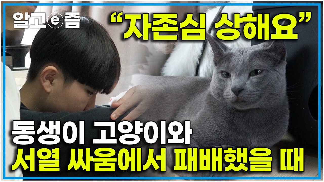 잠 잘때도 공격당하는 불쌍한 동생｜고양이를 부탁해｜알고e즘