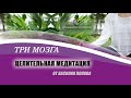 Целительная  медитация / 3 мозга /  Василий Попов