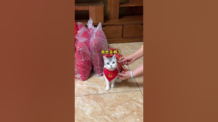 妈妈:一下子解决两个麻烦~ #萌宠 #陪嫁猫咪