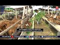 Chenu Chelaka | Nutrient Requirements of Sheep and Goats | Feeding Management | T News