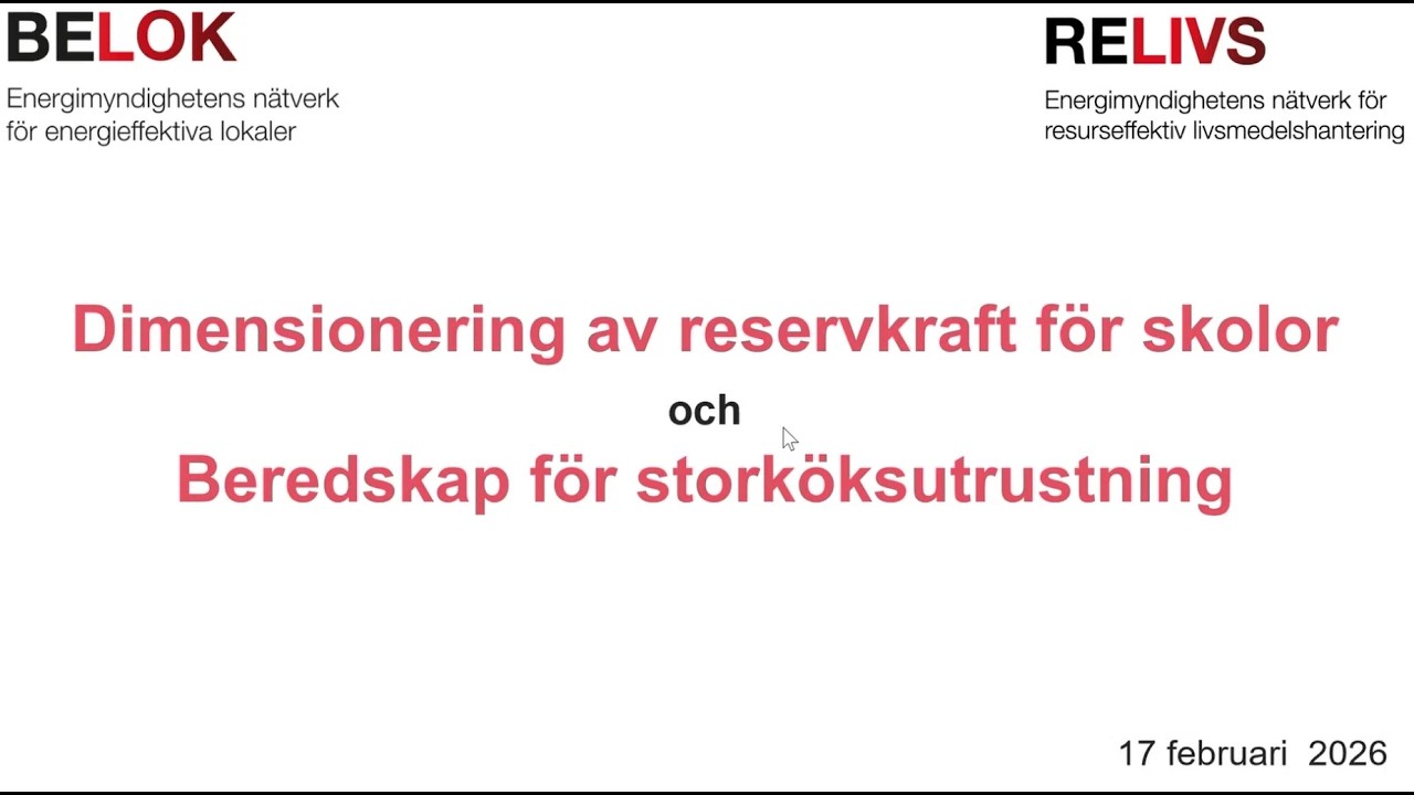 2026-02-17 Relivs: webbinarium