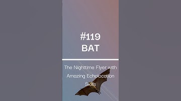#bat The Nighttime Flyer with Amazing Echolocation Skills