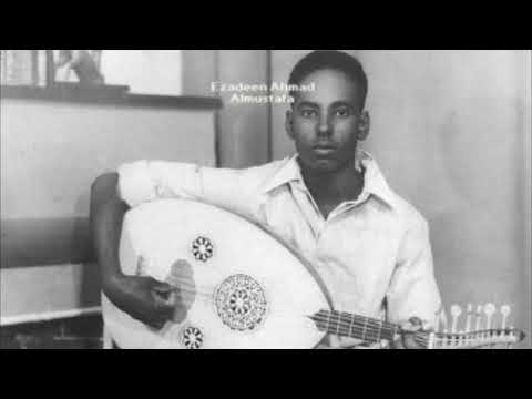 أحمد المصطفى بنت النيل جلسة عود