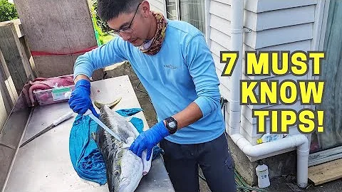🎯 How to Fillet a New Zealand Yellowtail Kingfish Like a Pro in 2025 + 7 Essential Tips 🔪