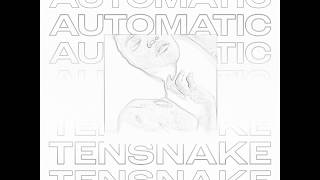 Tensnake Feat. Fiora - Automatic ( The Aston Shuffle Extended Remix )