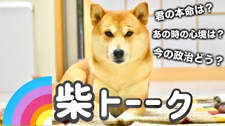 ついに明かされる真実！柴犬こむぎの本命は誰だ！？皆様からの質問にお答えいたします！！