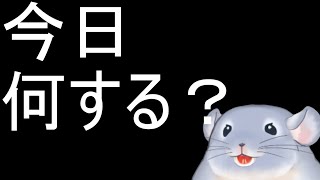 【雑談】4/21：マジでなにをするか決めてないけど配信したいからとりあえず開始した着ぐるみチンチラ！！！！！/Fade【新人Vtuber】