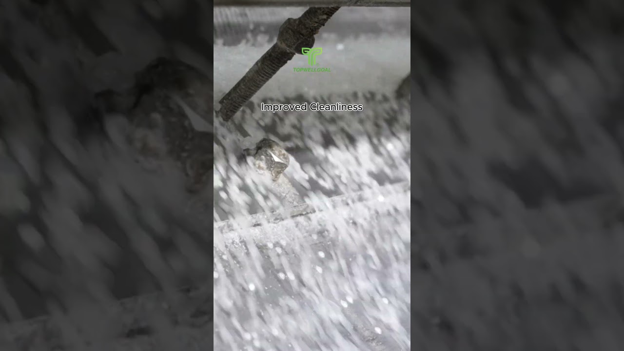 Granulation Process from Every Angle Possible  