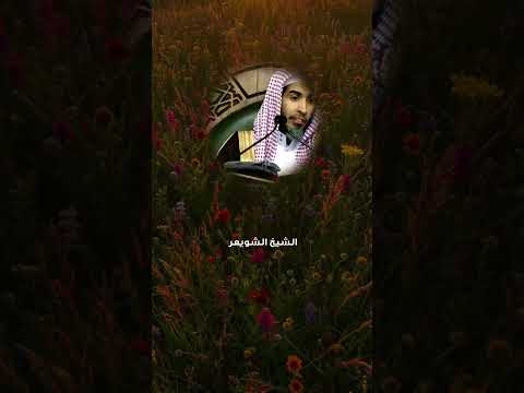 لماذا يفشل الكثيرون في الاستمرار في دراسة الفقه الشيخ عبدالسلام الشويعر يكشف السبب الحقيقي  لماذا يفشل الكثيرون في الاستمرار في دراسة الفقه الشيخ عبدالسلام الشويعر يكشف السبب الحقيقي