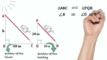 Similarity of Triangle | height of the tower | Case Based Question