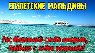 Рас Мохаммед снова открыт! Белый остров на яхте, дайвинг с лодки разрешён! Шарм эль Шейх 2020