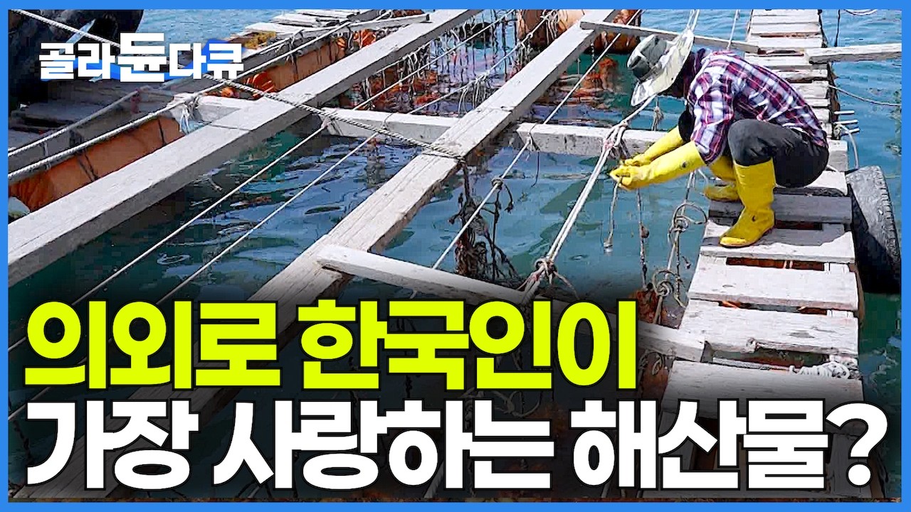 전 세계적으로 이걸 이렇게까지 먹는 나라가 없다.. 생각해 보면 안 주는 횟집이 없는｜의외로 한국인이 가장 사랑하는 해산물｜미국 수출! 일본 수입?｜멍게 양식｜극한직업｜#골라듄다큐
