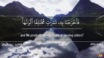 قراءة هادئة لِما تيسر من سورة فاطر | نور إيهاب