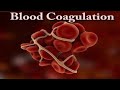 Blood clotting in animation ll coagulation of blood  ll animation 