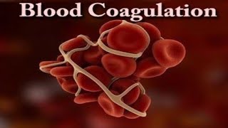Blood Clotting in Animation ll Coagulation of Blood 🩸🩸 ll Animation Video 🩸💥🩸