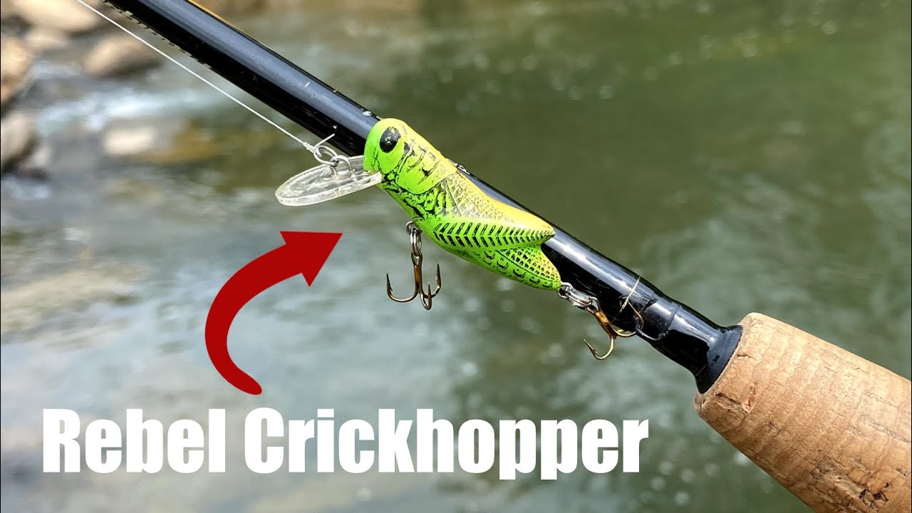 Creek Fishing with the Rebel Crickhopper! 
