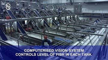 Eskja - Complete automatic pelagic processing plant (Full Video)