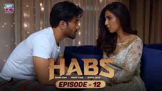 Habs Episode 12 | Ushna Shah | Feroze Khan | Ayesha Omar | ARY Zindagi Drama