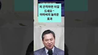 아마씨 효능: 오메가3 챔피언, 혈관 건강 지킴이!