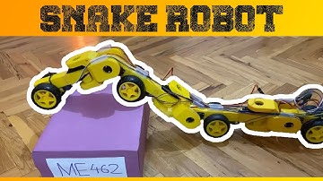 Snake Robot (METU Mechatronics Design Project)