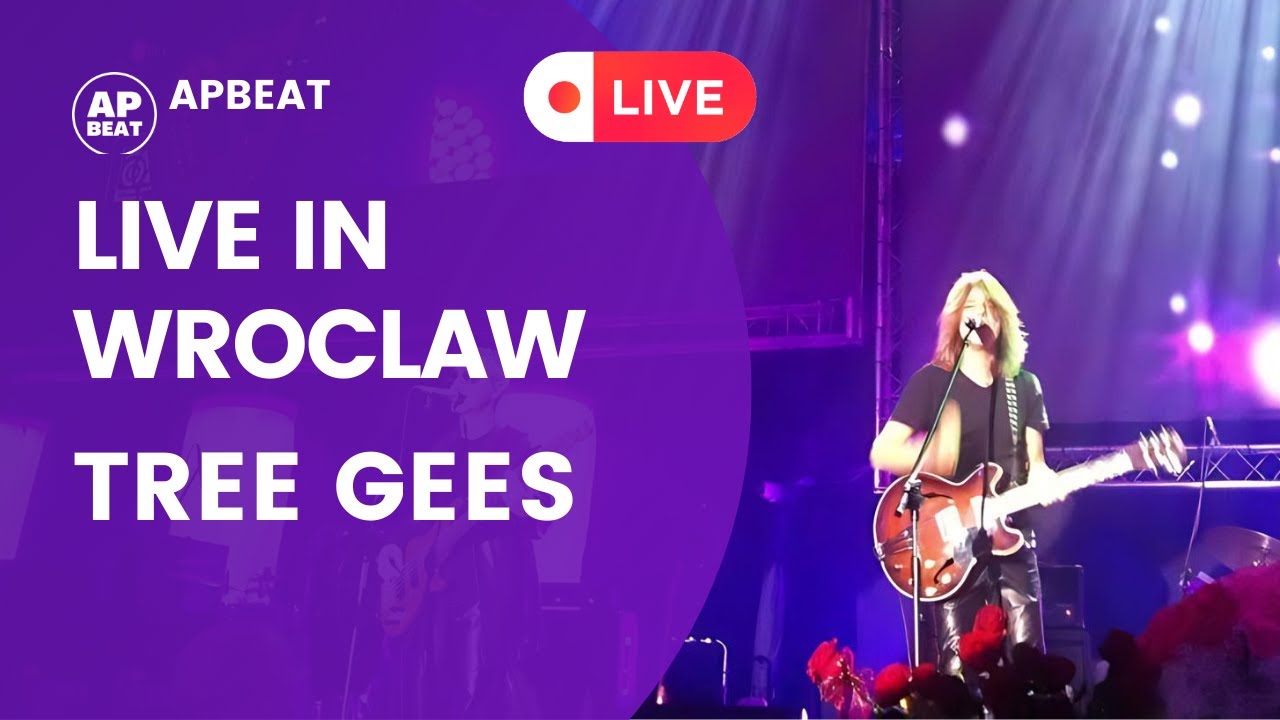 THE TREE GEES (BEE GEES TRIBUTE) Live in Wroclaw 2013 YouTube