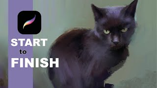 Paint Like A Fine Artist In Procreate: Tutorial Of How To Paint A Cat In Procreate Using Oil Brushes
