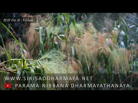 සම්බුද්ධ සුත‍්තං — ත්‍රිපිටක සූත්‍ර දේශනා · මීවනපලානේ සිරි ධම්මාලංකාර හිමි