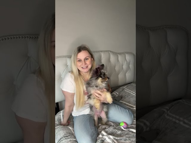 Special Live Event- meet the new puppy!🐶