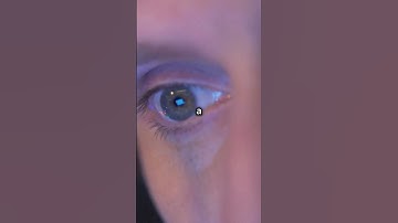 Why We Blink
