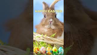 HAPPY EASTER GREETINGS π° #HAPPYEASTER #EASTER #eastergreetings #trending