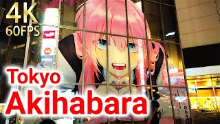 [Tokyo Akihabara] Japan's largest electronics town is also a mecca for otaku.