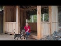 Using wooden planks to fence the walls of the new kitchen. Building farm, Free Life (ep 196)