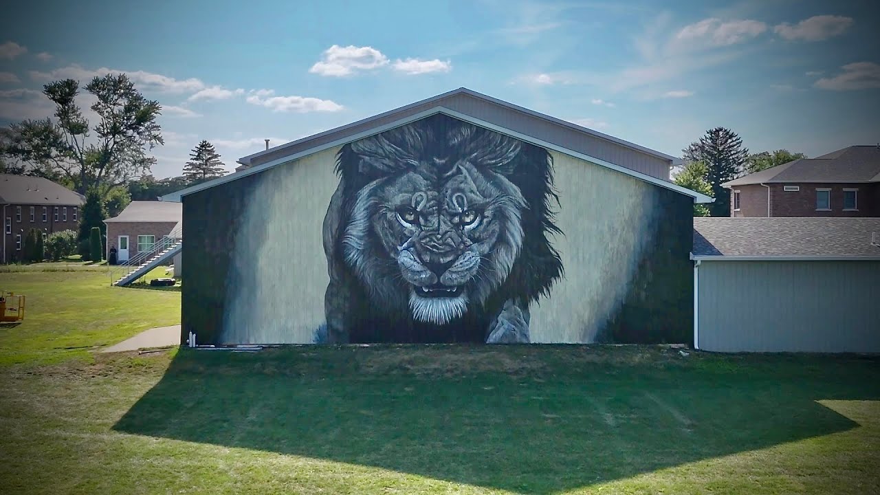 Lions Rugby Mural Timelapse