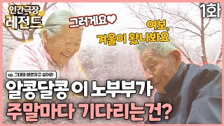 [인간극장 레전드 #2771] 알콩달콩 노부부가 주말마다 기다리는 것은? | 그대와 해로하고 싶어라 (1/2) [KBS 131209131213 방송]