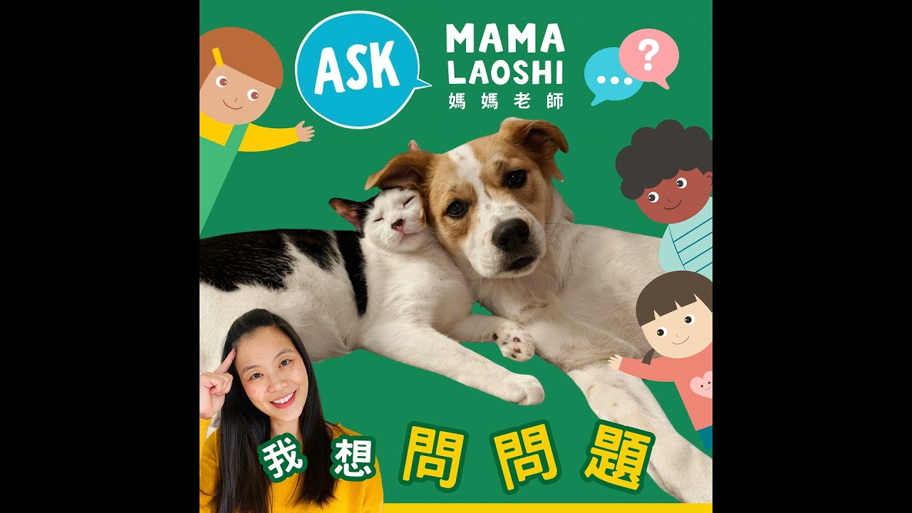 🐶 狗狗為什麼喜歡玩接球 🥎?!🐶 Why Do Dogs Love Playing Fetch 🥎?! 縮圖