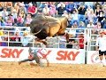 Touro Bad Boy ● Filho do Bandido ● Barretos 2013