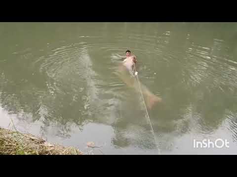 River net fishing Amazing cast Fisher men video #fishing #river