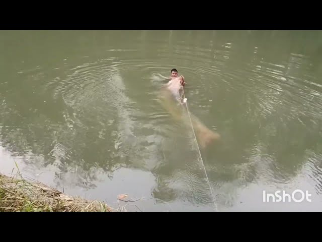 River net fishing Amazing cast Fisher men video #fishing #river #rohufish  #fishingvideo 