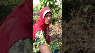 Aa hampir di seruduk babi ngepet #diy #kreatif #viral #art #craft