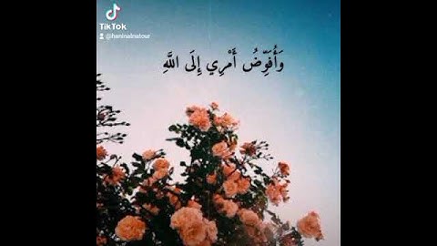 وَأُفَوِّضُ أَمْرِي إِلَى اللَّهِ إِنَّ اللَّهَ بَصِيرٌ بِالْعِبَادِ #محمد_ايوب #سورة_غافر